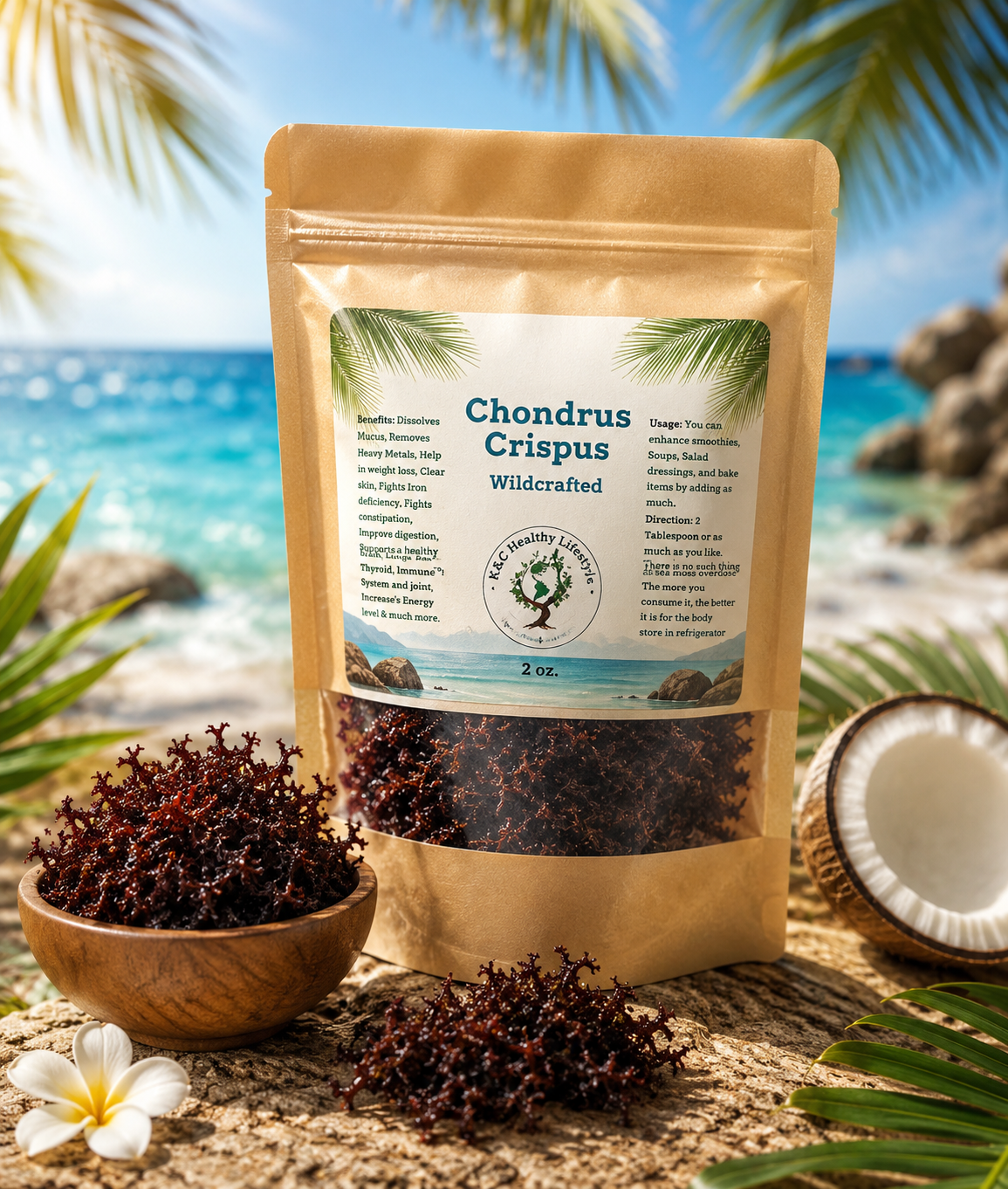 Chondrus Crispus