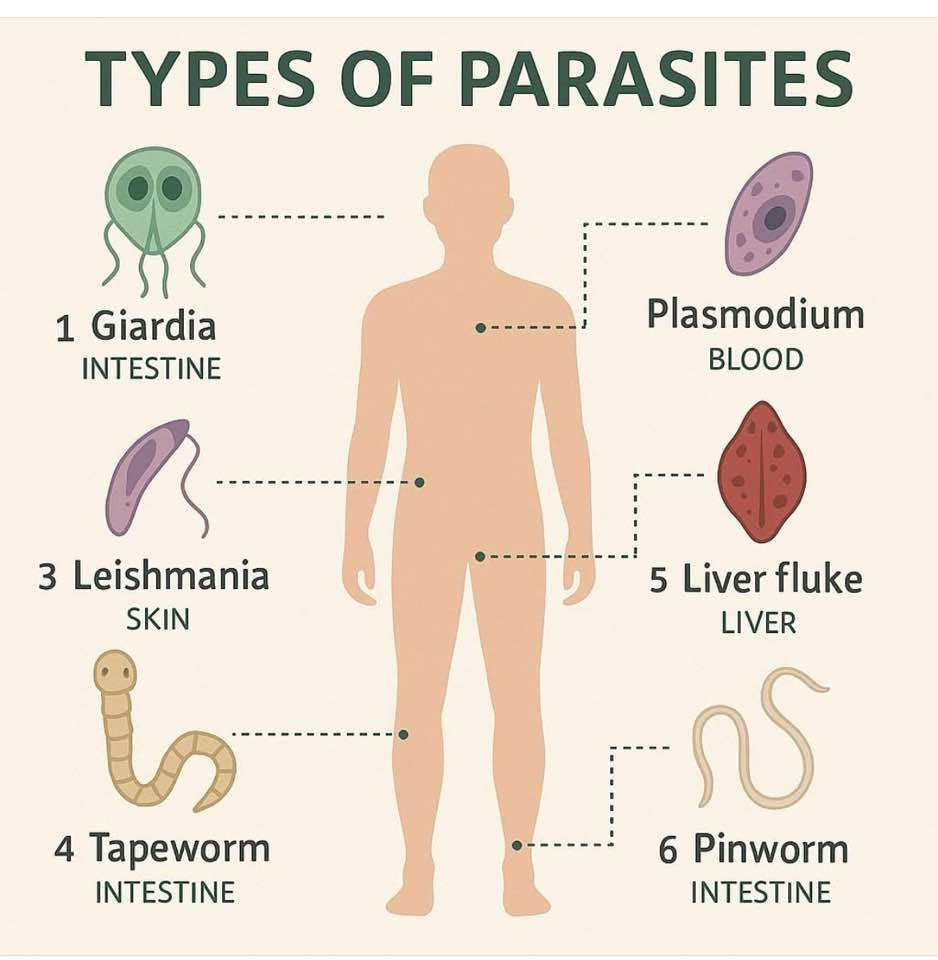 Parasite Killer